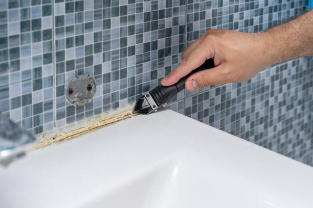 Best Best Mold Removal Companies  in Brightwood, VA