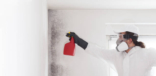 Crawl Space Mold Removal in Brightwood, VA