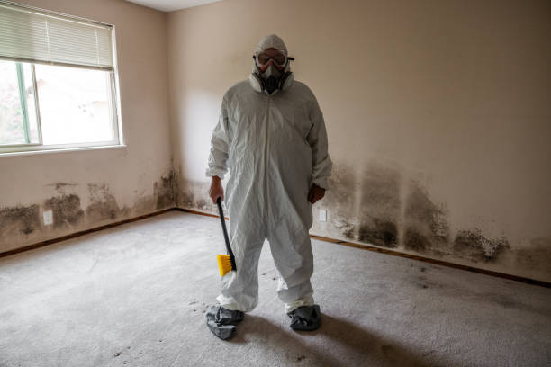 Best Local Mold Removal Service  in Brightwood, VA